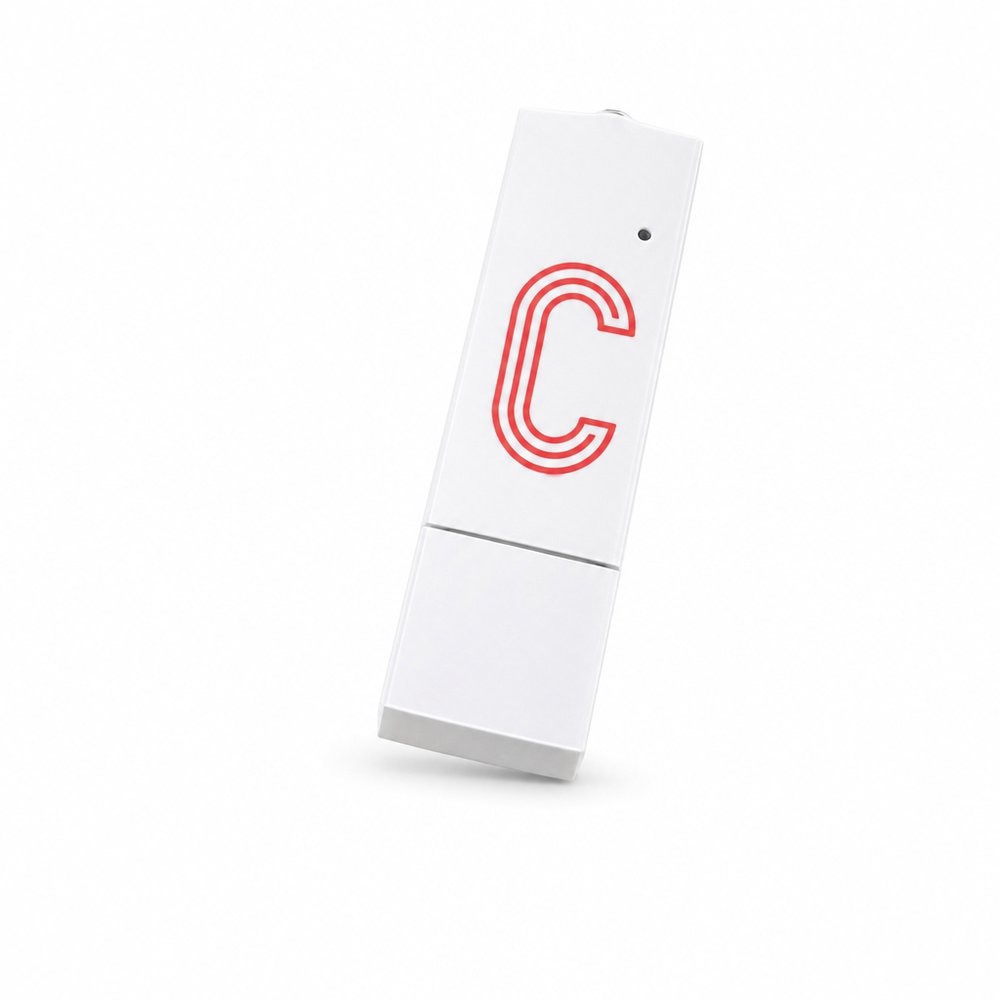Mattmetall-USB-Sticks (4 GB)