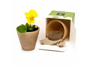 Promotional Flourish Cornstarch Bio Gift Pots