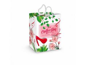 Promotional Laminierte farbig bedruckte Papiert&uuml;ten (Lrg)