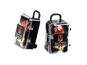 Werbeartikel Lindt B&auml;lle in Handgep&auml;cktaschen (x2)