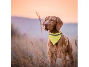 Werbeartikel Reflective Bandana Pet Collars